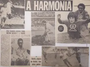 Batata.N-Harmony-Santos-Art.