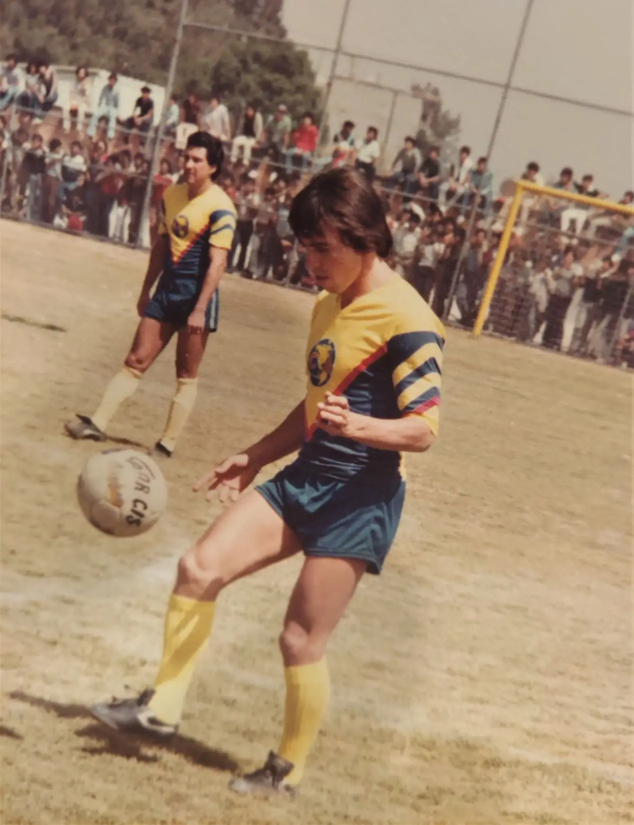 Busy day in the office...